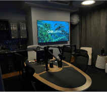 podcast